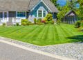 The 10 Best Affordable Lawn Care Services Near Me