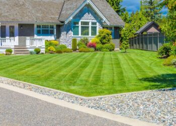 The 10 Best Affordable Lawn Care Services Near Me