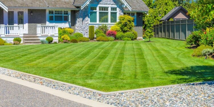 The 10 Best Affordable Lawn Care Services Near Me