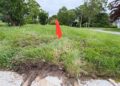 Bright Red Flag Marks Landscaping Work on a Grassy Area Near a Road ...