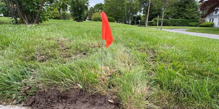 Bright Red Flag Marks Landscaping Work on a Grassy Area Near a Road ...