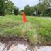 Bright Red Flag Marks Landscaping Work on a Grassy Area Near a Road ...